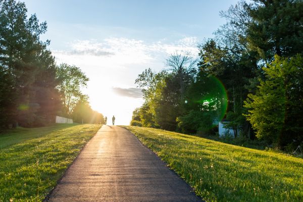 Asphalt Pathway Installation in Sugar Land