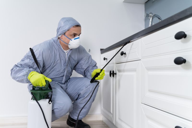 Insect Extermination Service