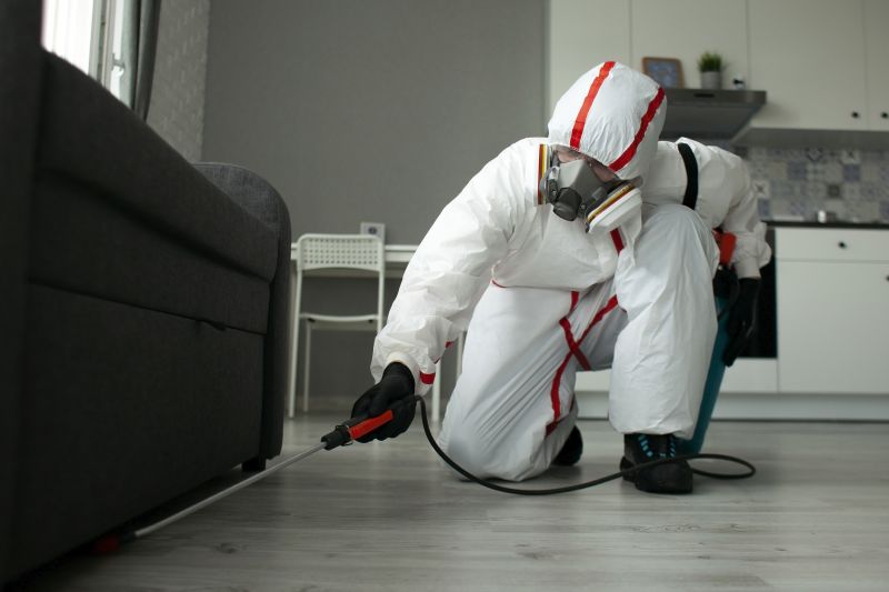 Pest Control Service