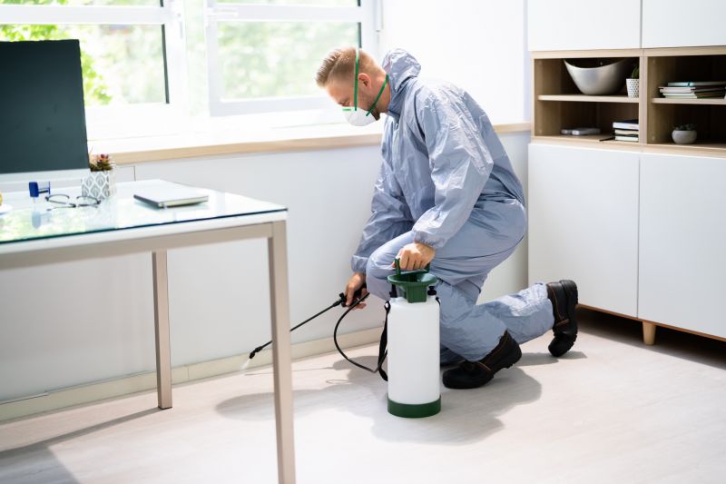 Spider Extermination Service